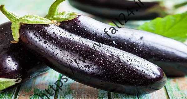 ترز تهیه حلیم بادمجان خوشمزه و جذاب بادمجان