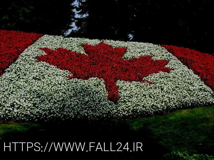 Real Estate Canada